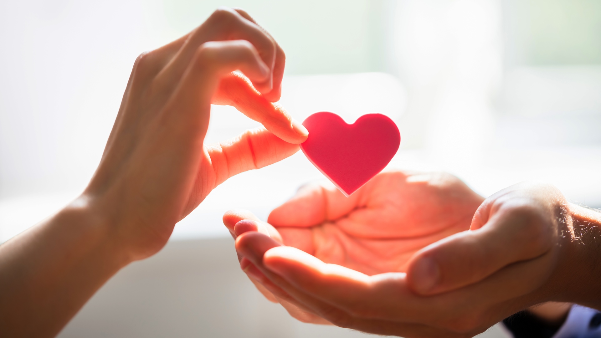 Światowy Dzień Donacji i Transplantacji