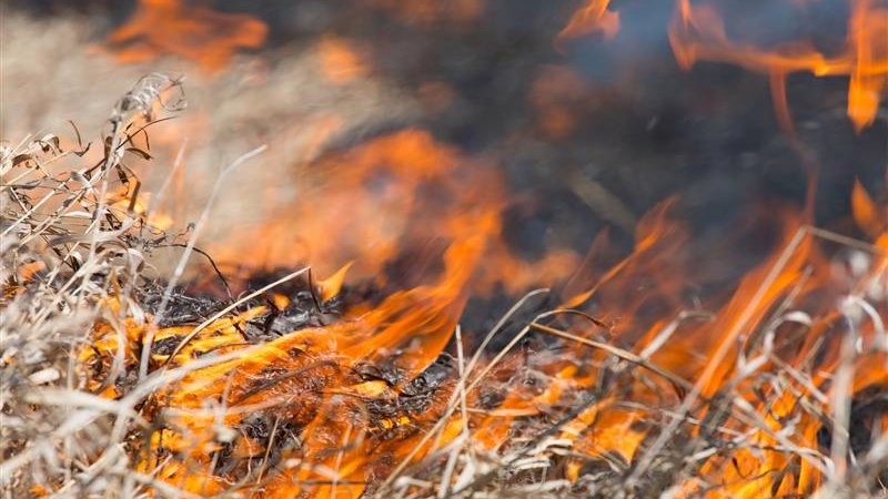 W lasach obowiązuje trzeci stopień zagrożenia pożarowego