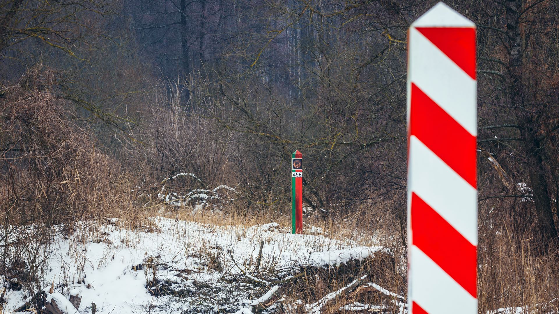 Kilkunastu Czeczenów próbowało nielegalnie przekroczyć granicę z Białorusią