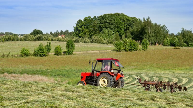 GIS opublikował wytyczne dla rolników zatrudniających cudzoziemców