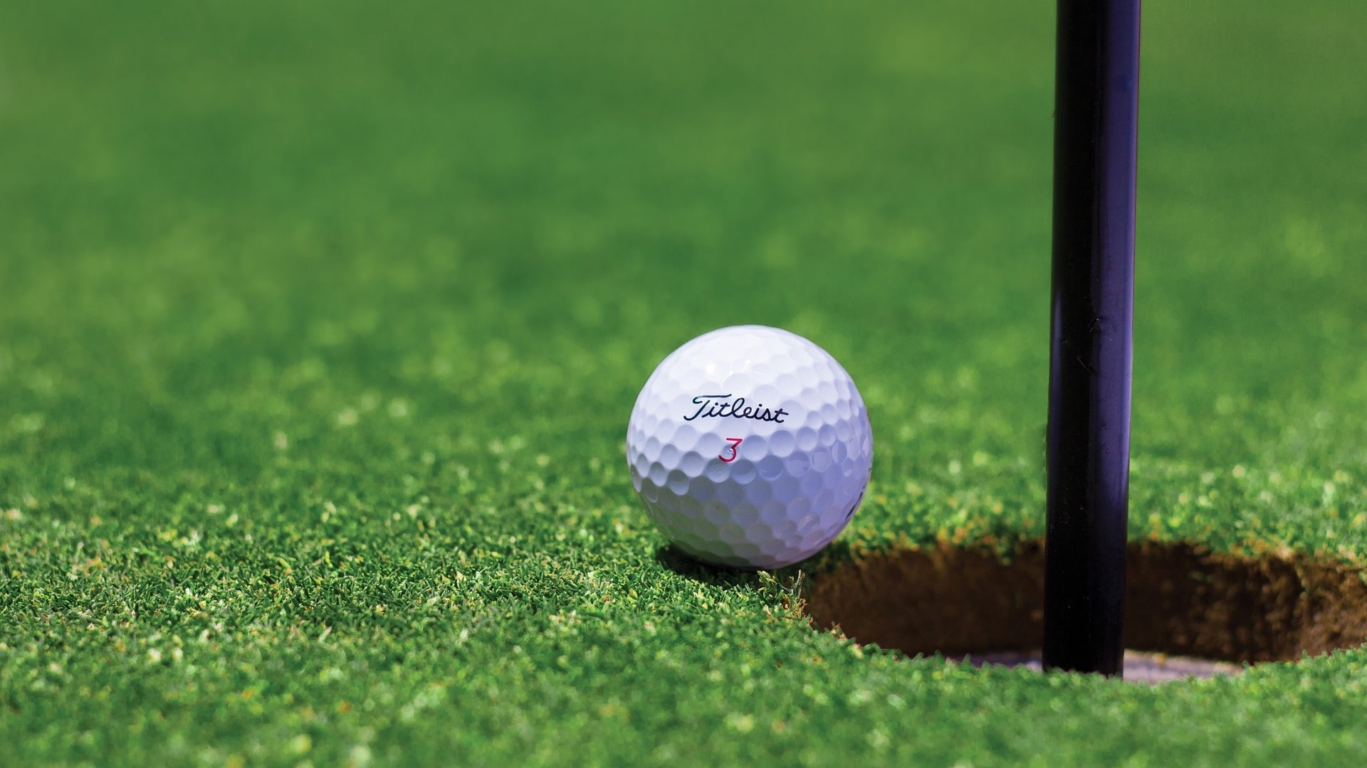 Nie będzie pola golfowego w Topilcu nad Narwią - władze gminy Turośń Kościelna zrezygnowały z inwestycji