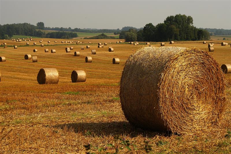 W Starej Kamionce spaliła się prasa rolnicza
