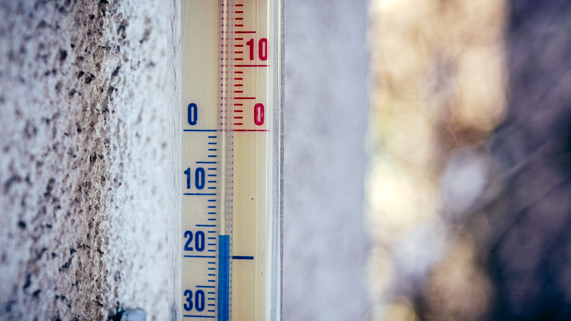 Jak radzić sobie z falą mrozów?