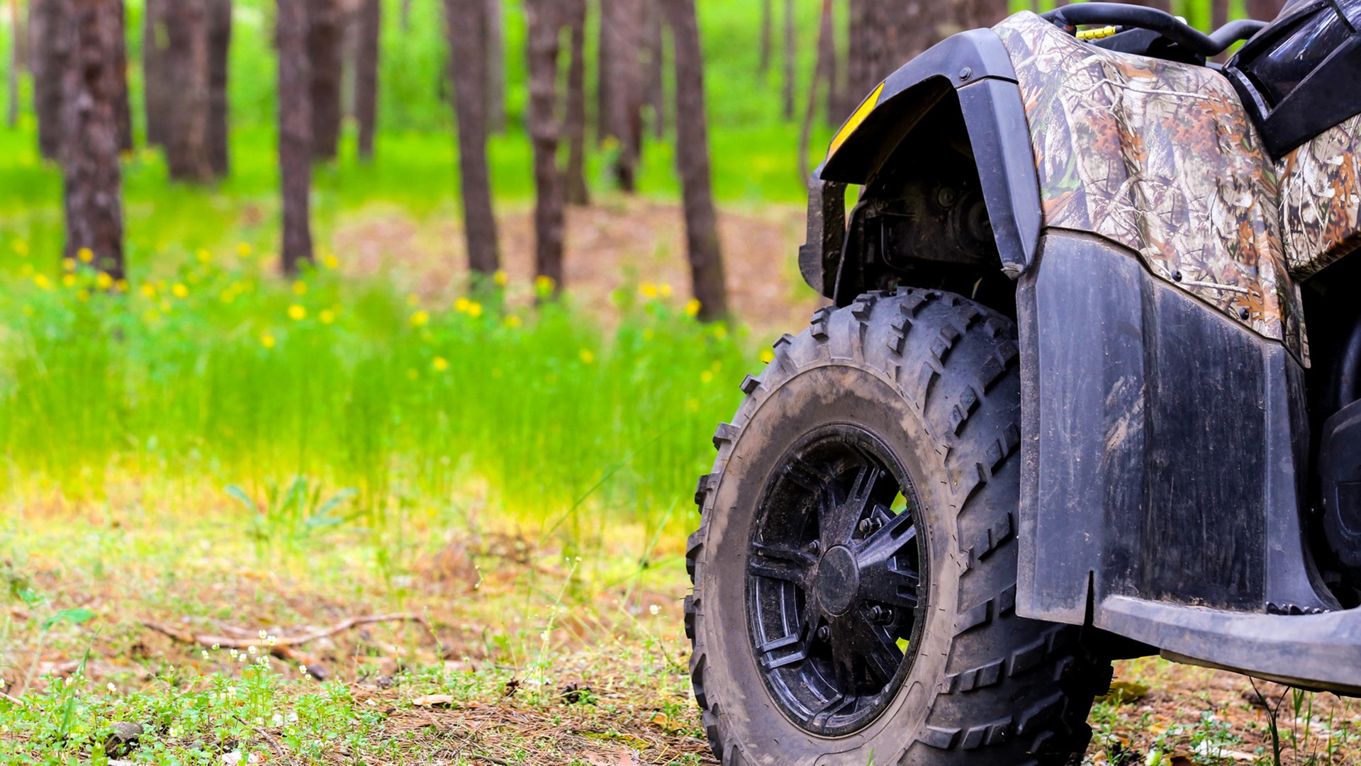 Parkingi przy lasach wokół Białegostoku raczej nie będą zamykane