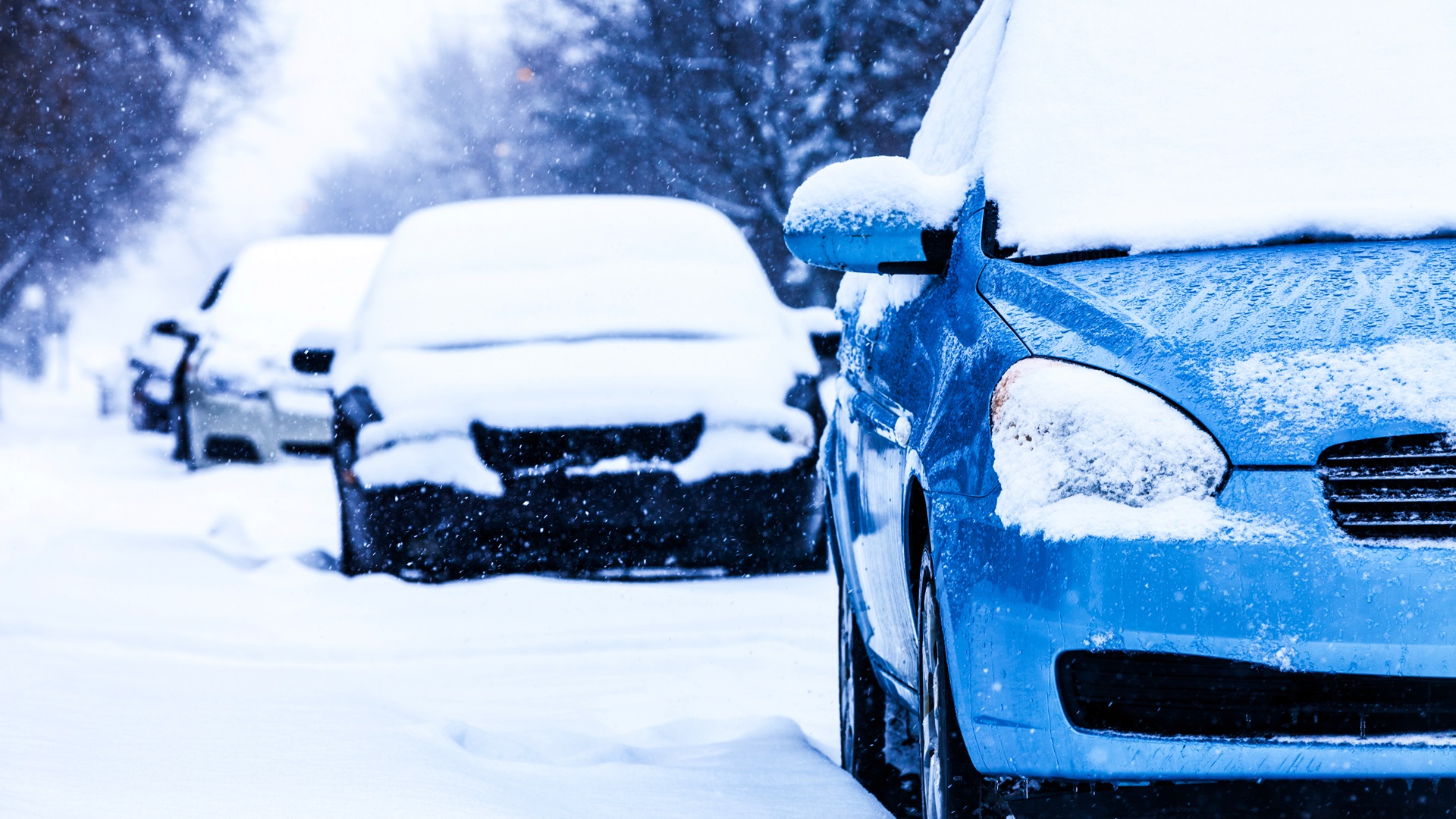 Trudno tu o miejsce parkingowe, ale łatwo o mandat