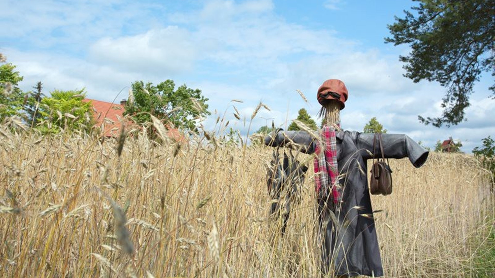 "Mężczyźni stali z boku" - reportaż Agnieszki Czarkowskiej
