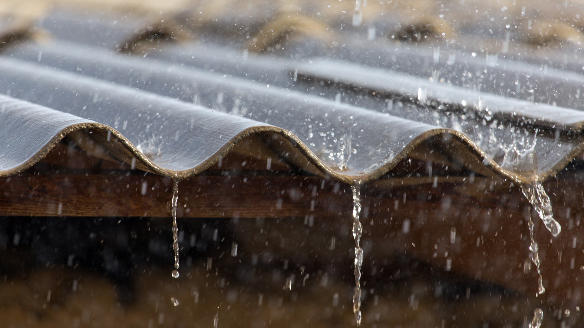 W Podlaskiem będą ulewne deszcze i gradobicia - ostrzegają synoptycy