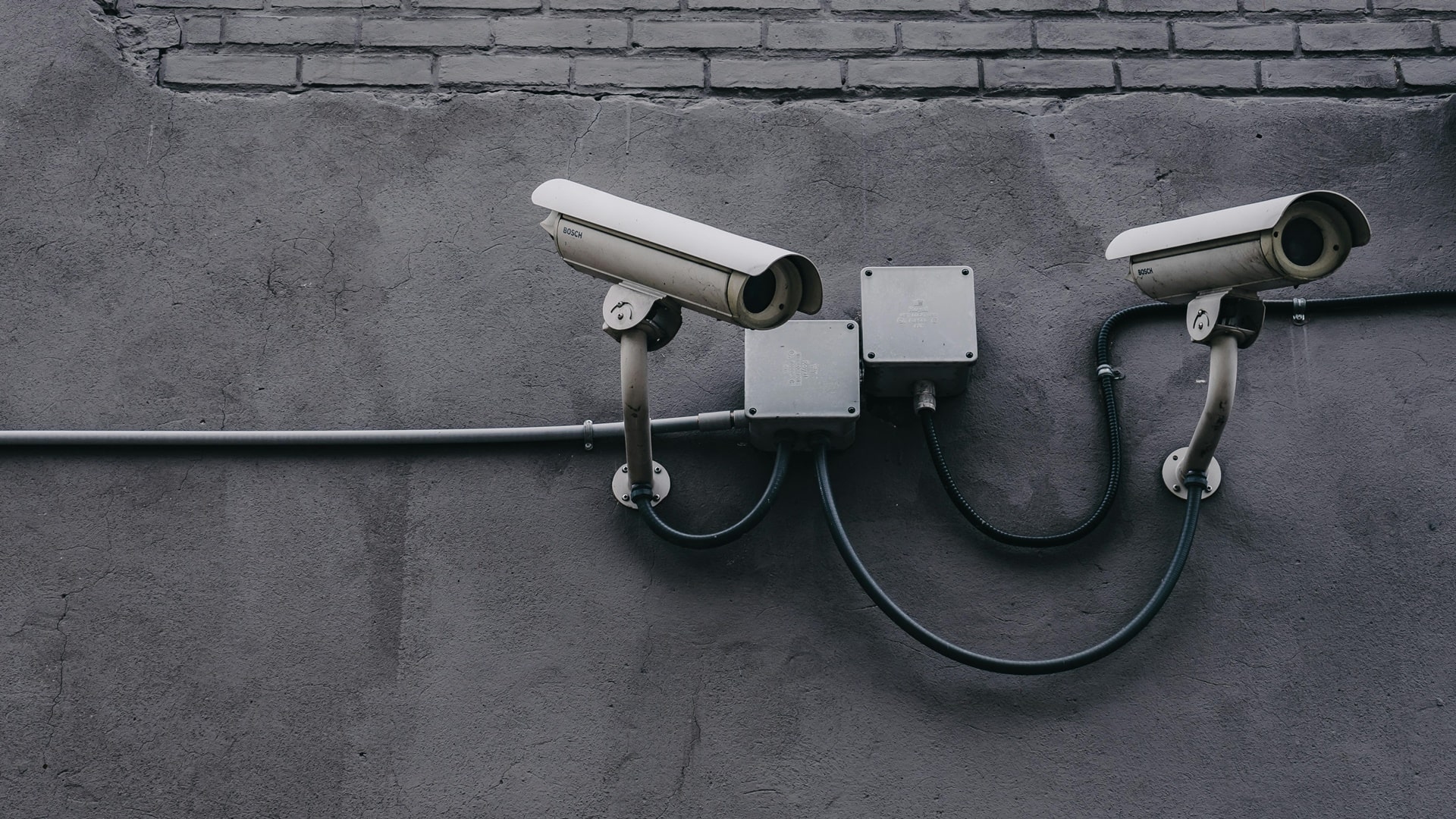 źródło: pexels.com