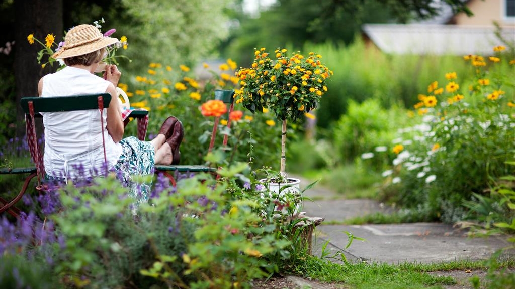 Będzie dzienny dom i 9 klubów - w Podlaskiem powstaną placówki dla seniorów