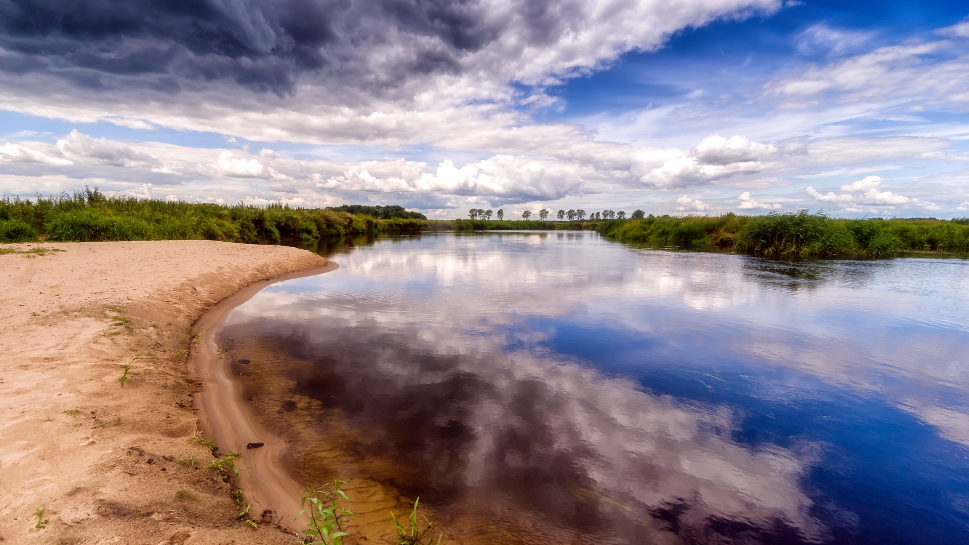 Białoruskie media informują o planach przywrócenia pierwotnego stanu rzeki Narewka w Puszczy Białowieskiej