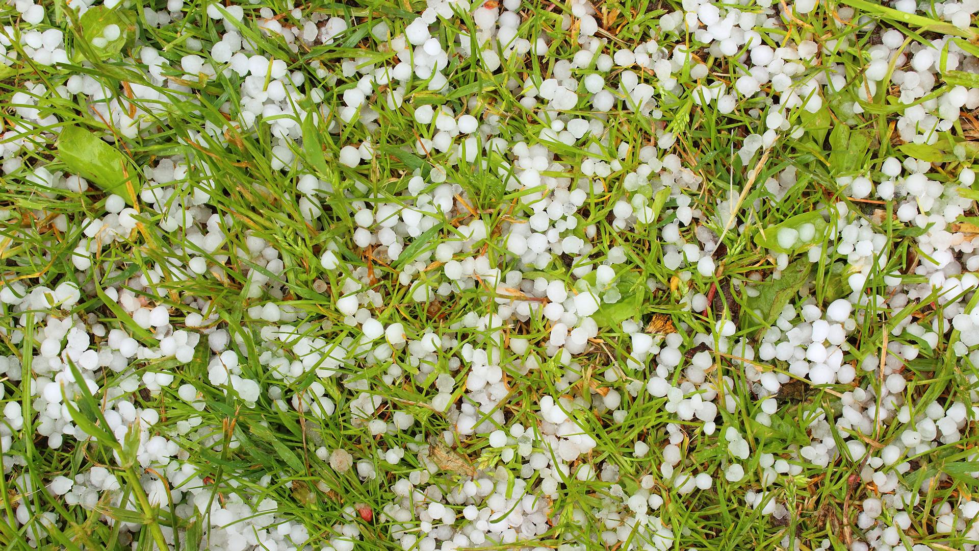 Synoptycy zapowiadają ulewy z gradem i silny wiatr w Podlaskiem