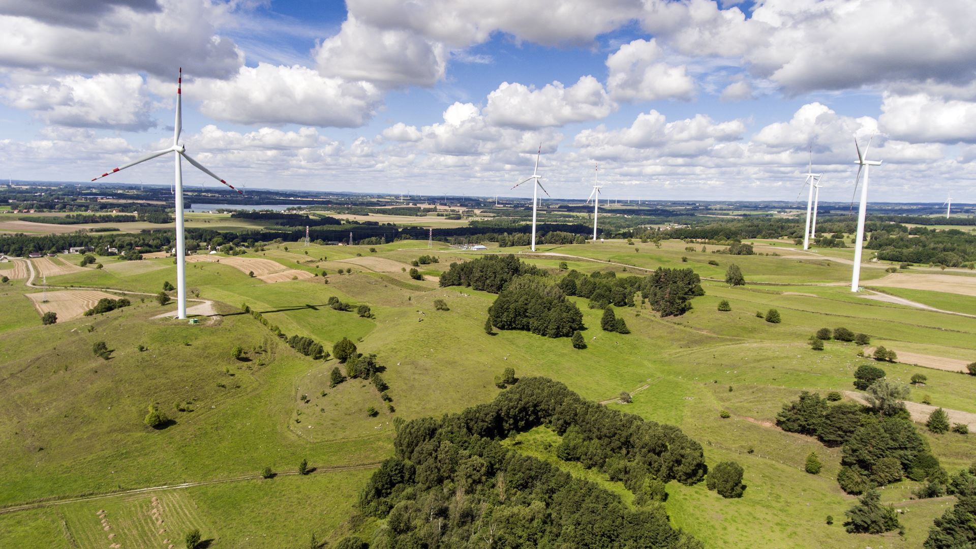 W Suwałkach powstanie grupa zajmująca się działaniami proekologicznymi