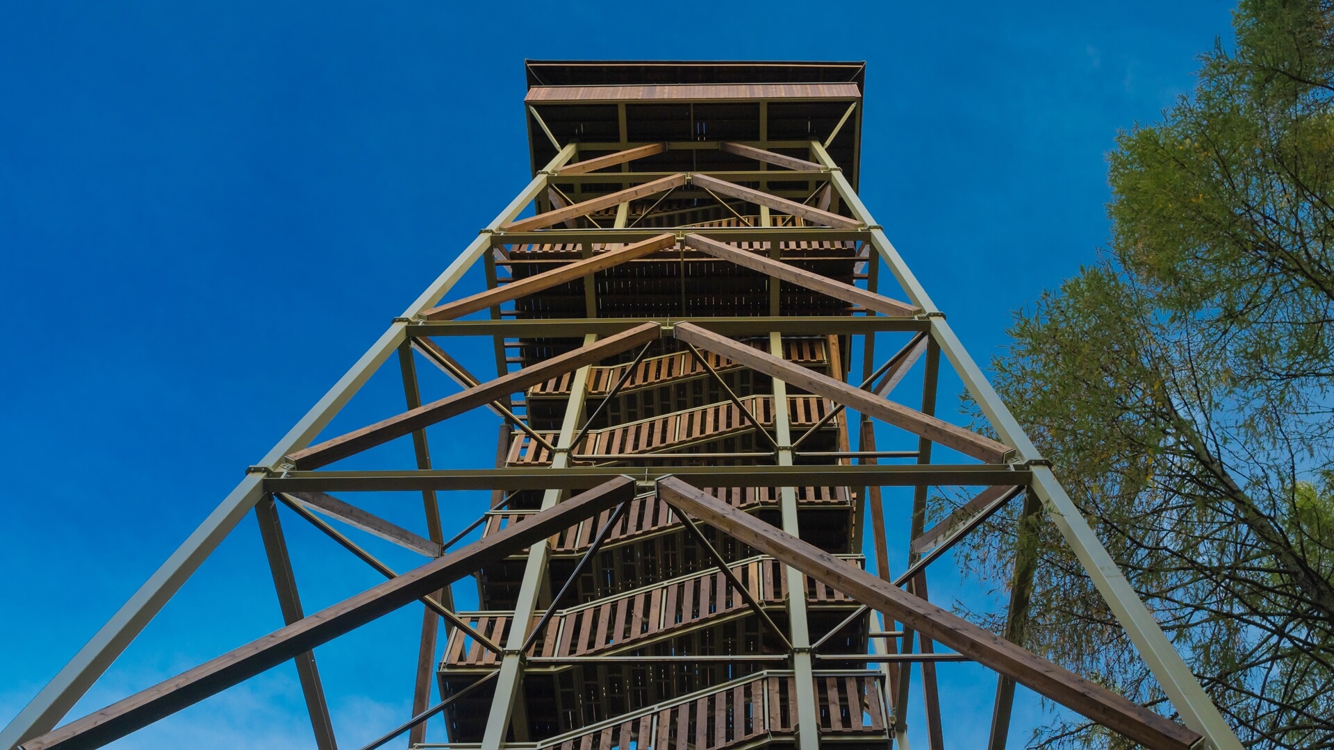 Nowe wieże widokowe powstaną w Łomżyńskim Parku Krajobrazowym Doliny Narwi