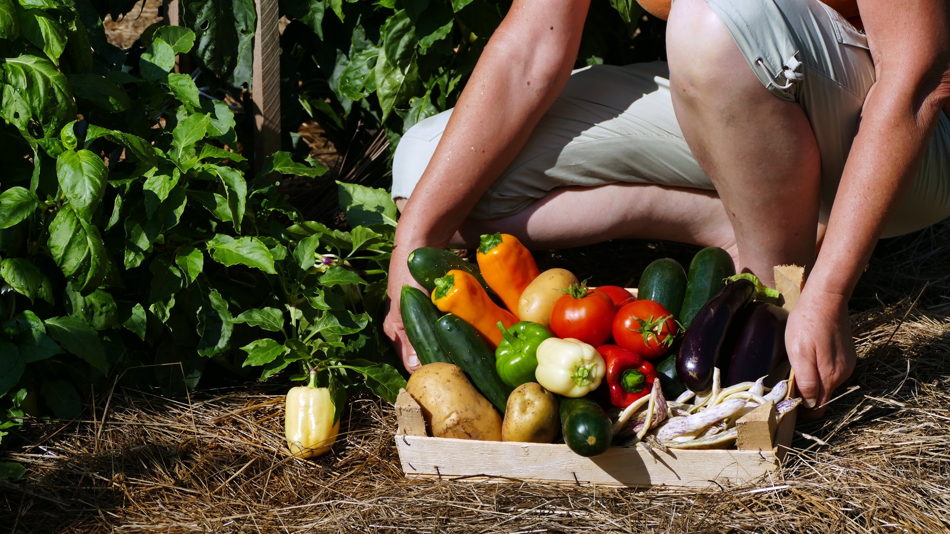 W pandemii zwiększyło się zainteresowanie produktami lokalnymi i ekologicznymi