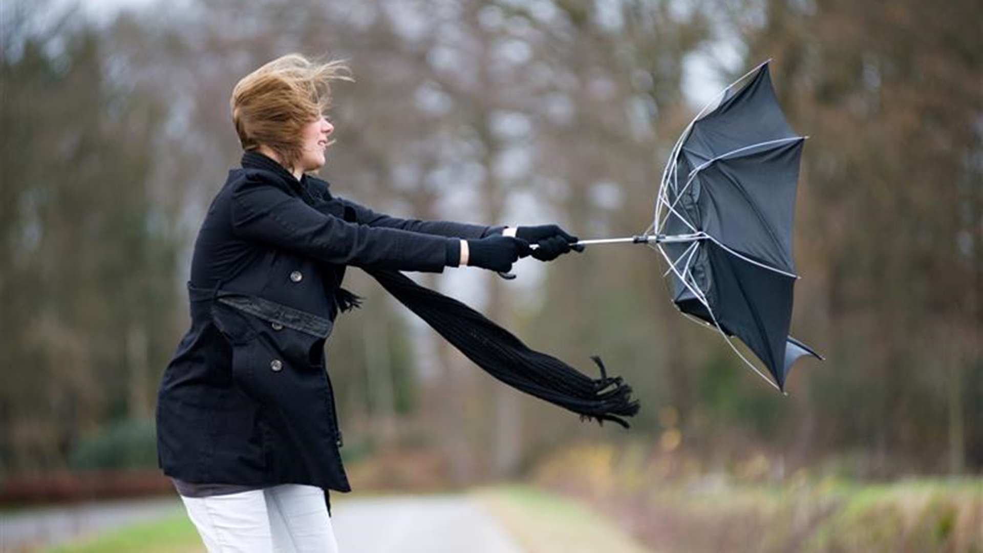 Porywisty wiatr i opady deszczu ze śniegiem w Podlaskiem