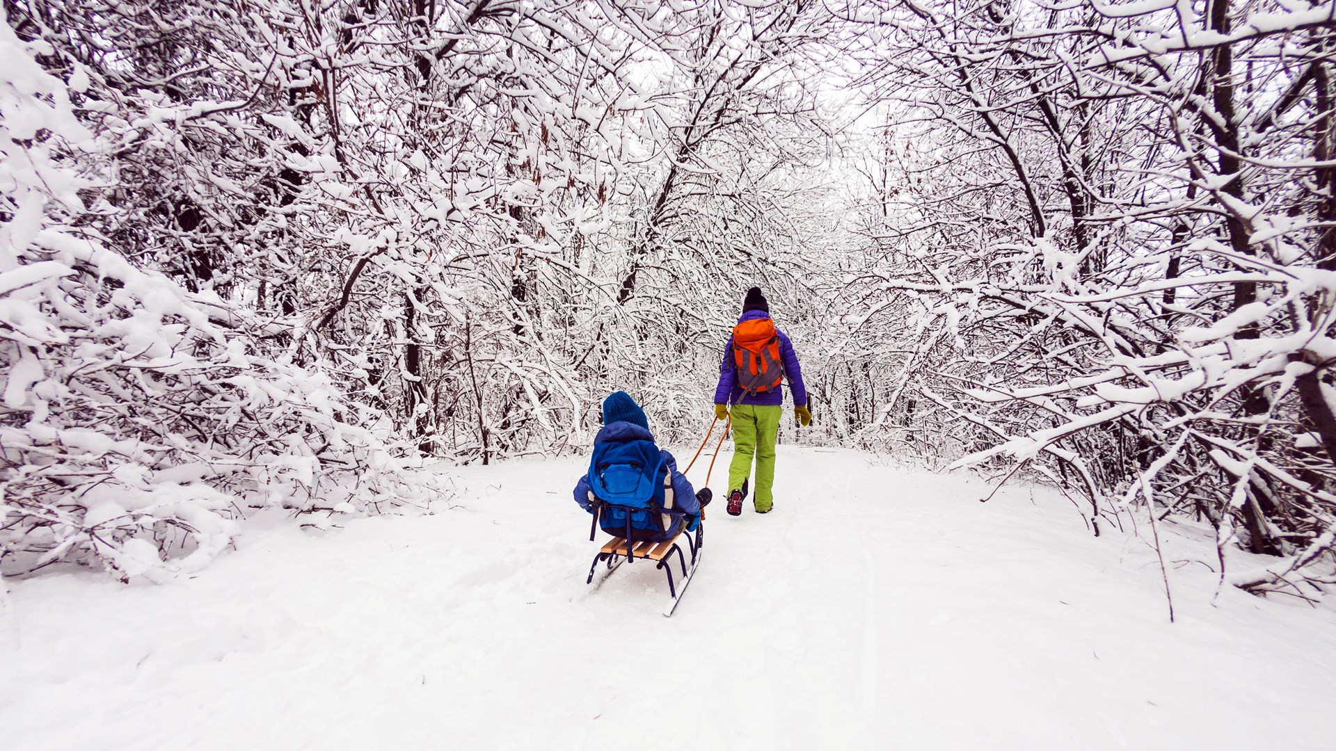 Łopaty do śniegu i sanki - to jedne z najbardziej pożądanych produktów