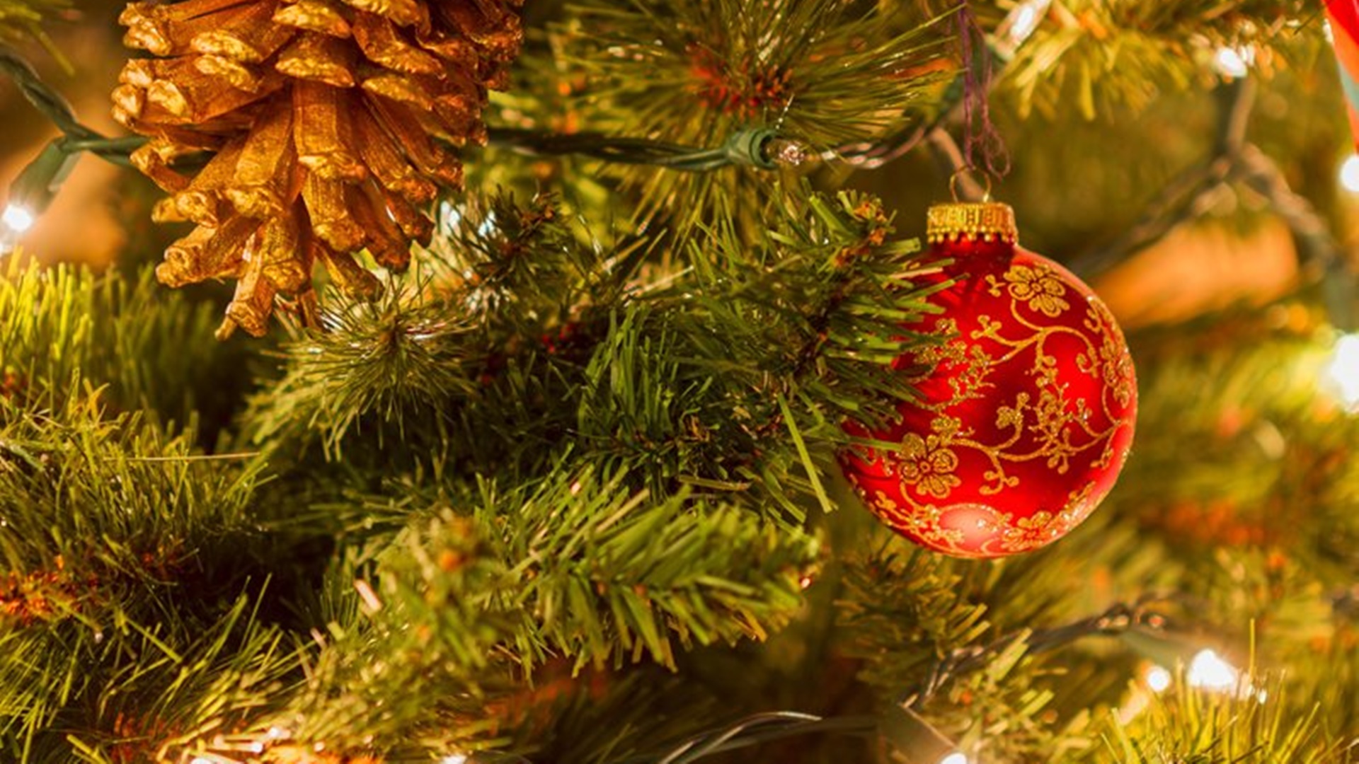 Jak dbać o choinkę, by stała w domu jak najdłużej?