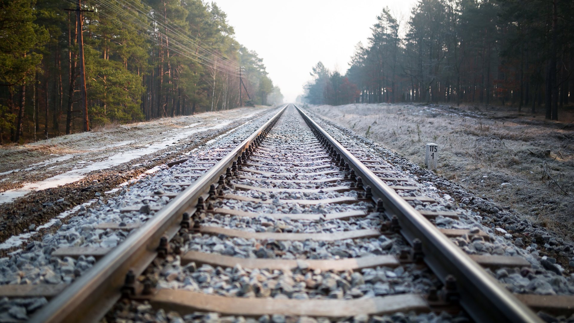 Są chętni do przebudowy linii kolejowej Białystok-Ełk. To największy przetarg w historii spółki PKP PLK