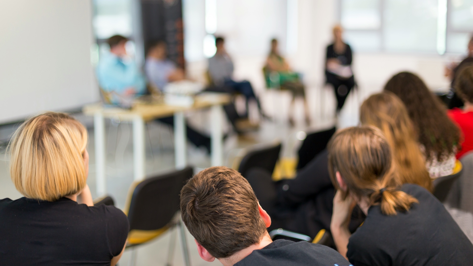 Będą rozmowy nt. planowanej wycinki Lasu Solnickiego w Białymstoku - zapewniają urzędnicy
