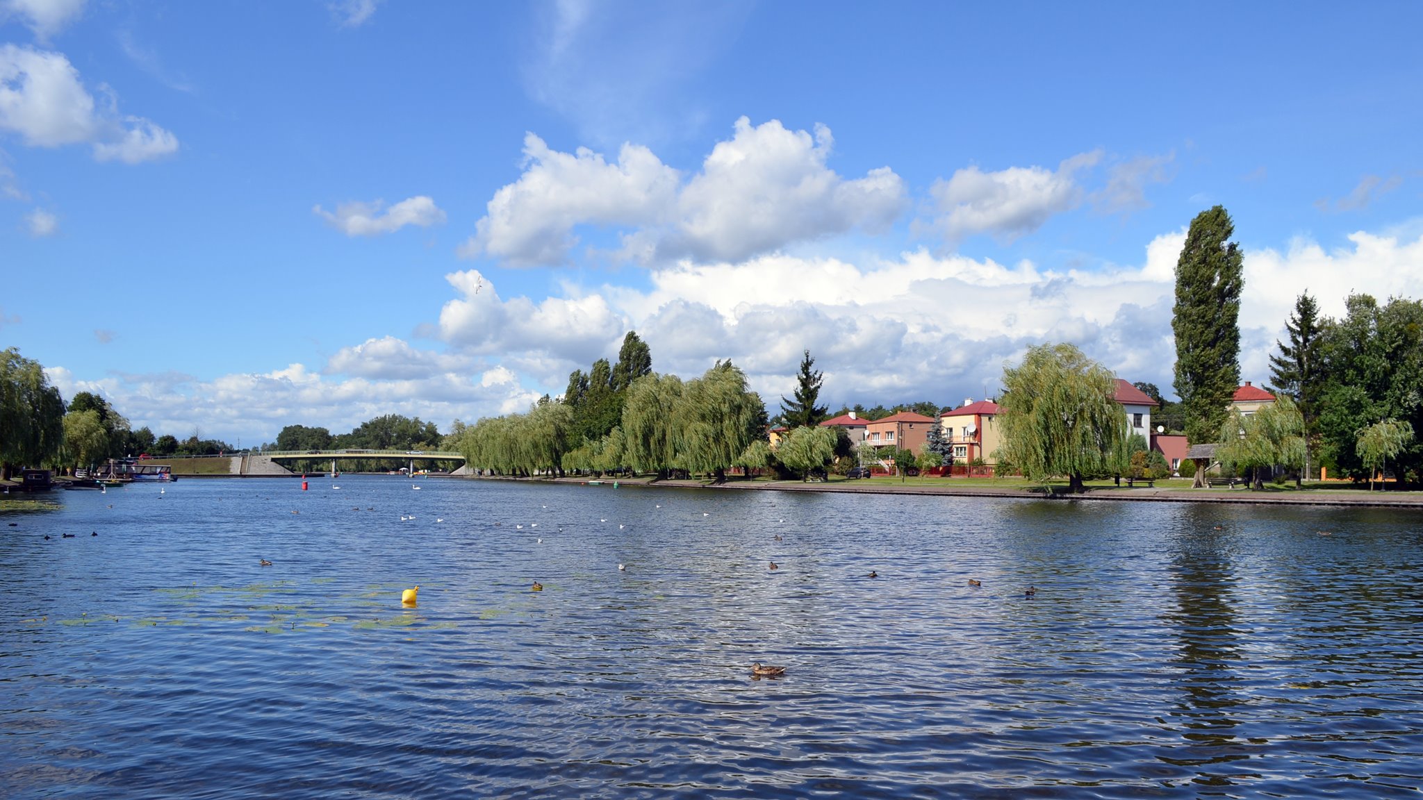 Każda z ofert na dokończenie budowy kładek wzdłuż Netty znacznie przekracza przewidzianą na to kwotę
