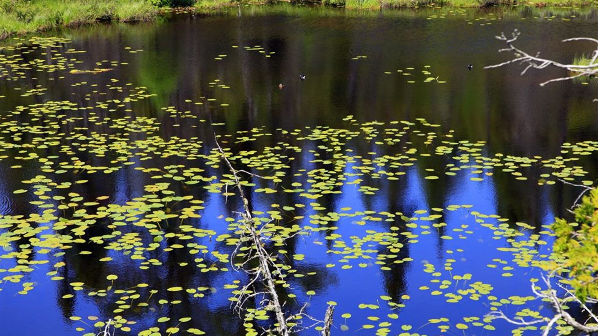W Szczuczynie powstanie zbiornik retencyjny wraz z infrastrukturą