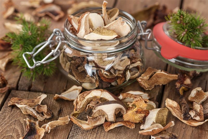 Czy grzyby pomogą w leczeniu nowotworów?