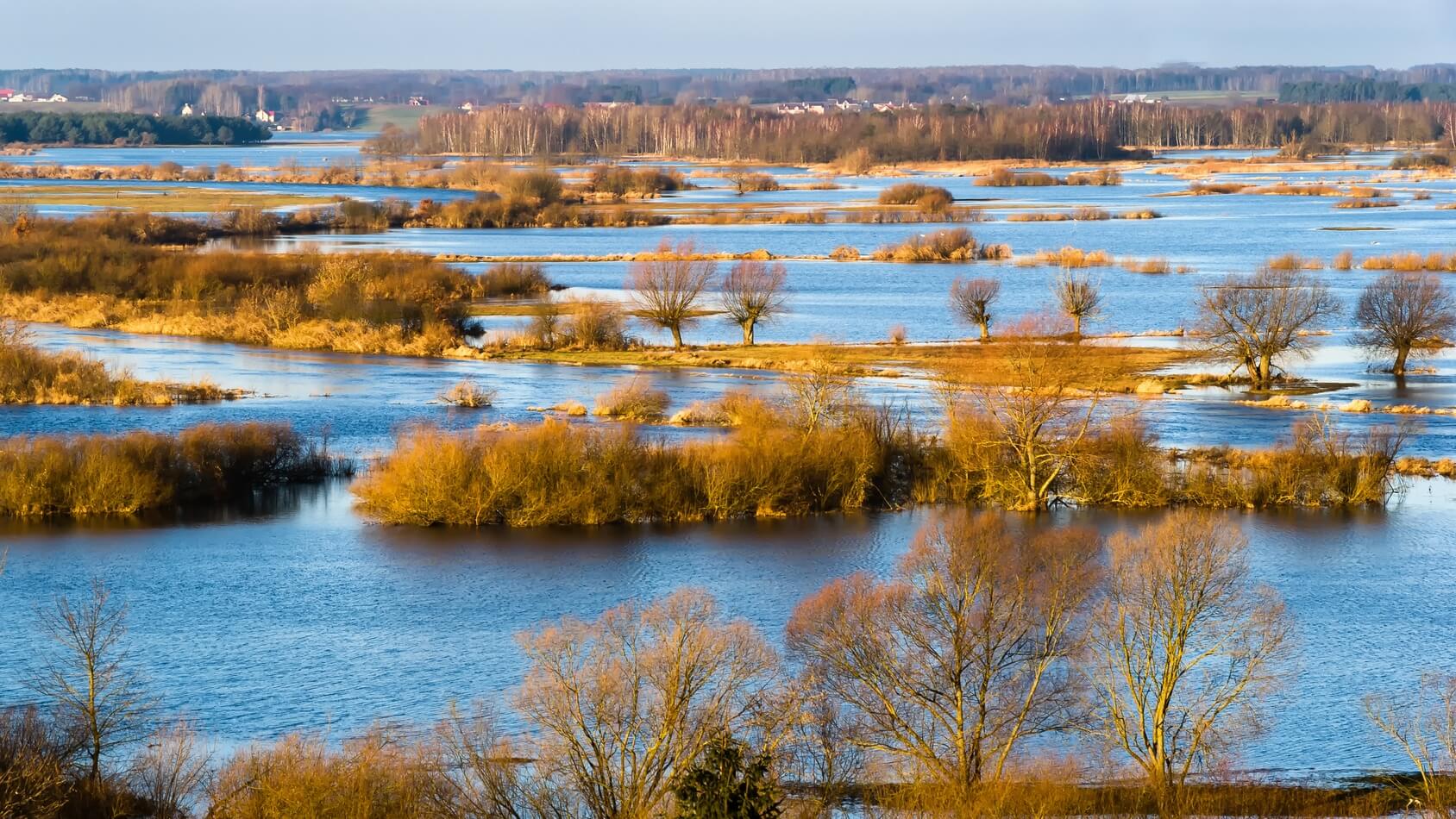 W kilku miejscach w Podlaskiem jest wysoki stan wód - cieszy to przyrodników