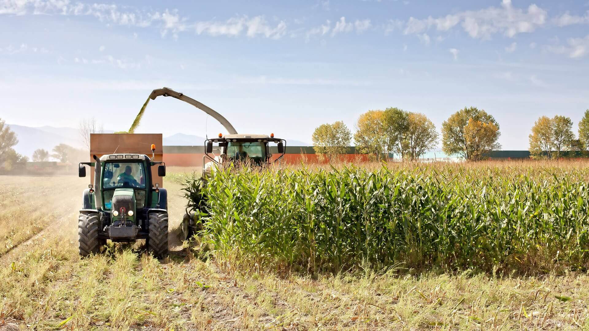 Odmrażanie gospodarki i sezon prac w rolnictwie sprzyjają zatrudnianiu cudzoziemców