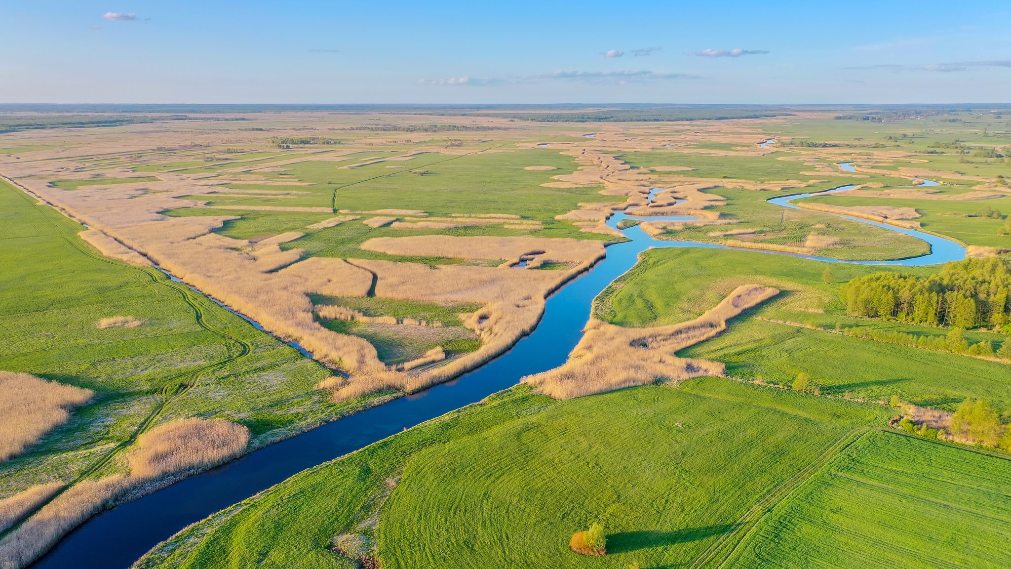 Organizacje ekologiczne chcą wstrzymania prac nad S16 przez Mazury i Biebrzański PN