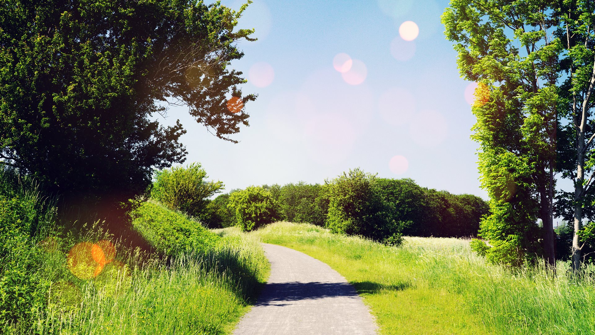 Skarga w sprawie koszenia trawników była niezasadna