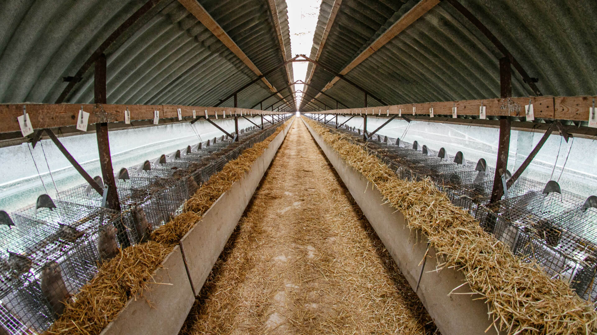 Podlaskie futra - felieton Adama Dąbrowskiego