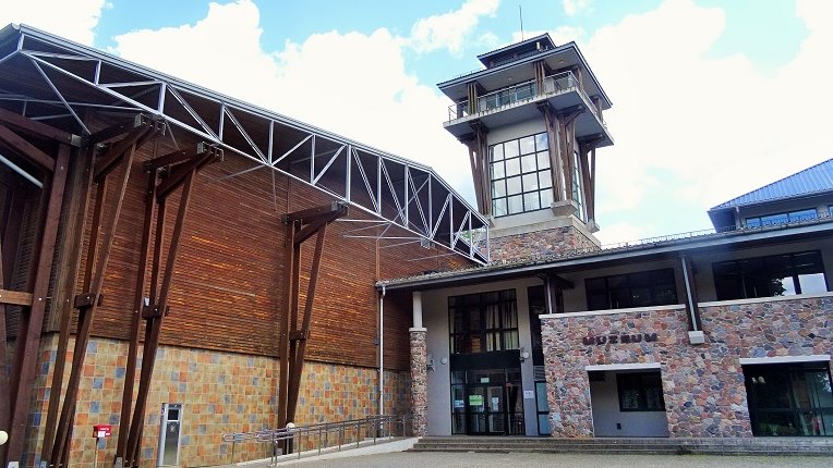 Międzynarodowa konferencja w Białowieży poświęcona dzięciołowi