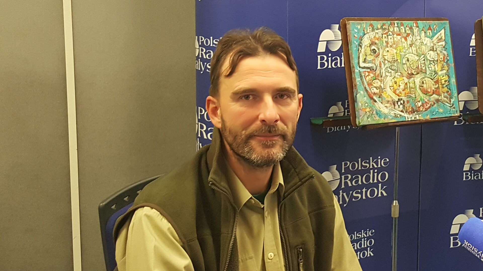 Wilk, dzik, lis i zając, czyli średnie zwierzęta w lesie