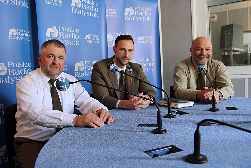 Jak posadzić sobie las?