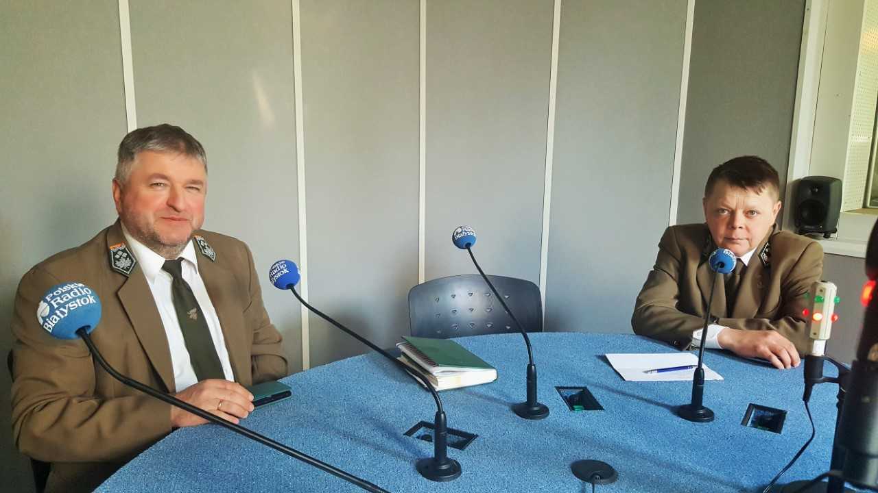 Jak sadzić i dbać o las