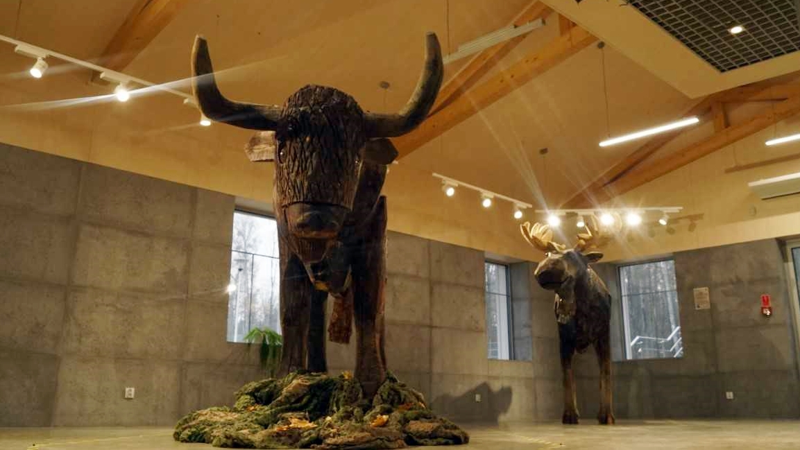 Niezwykłe zwierzęta na wystawie w Puszczy Białowieskiej