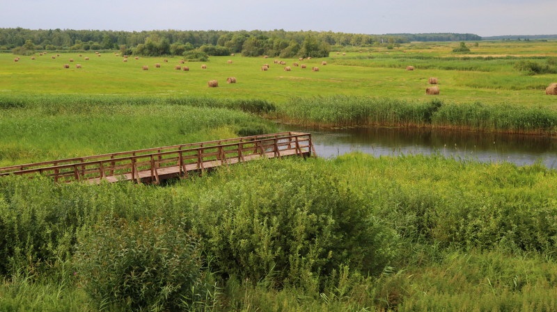 Uroczysko Dębiec na biebrzańskich mokradłach już odkryte