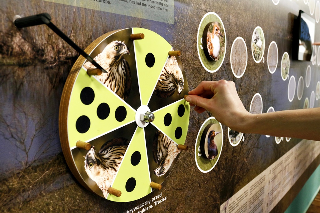 Nowe ekspozycje i baza edukacyjna w Biebrzańskim Parku Narodowym