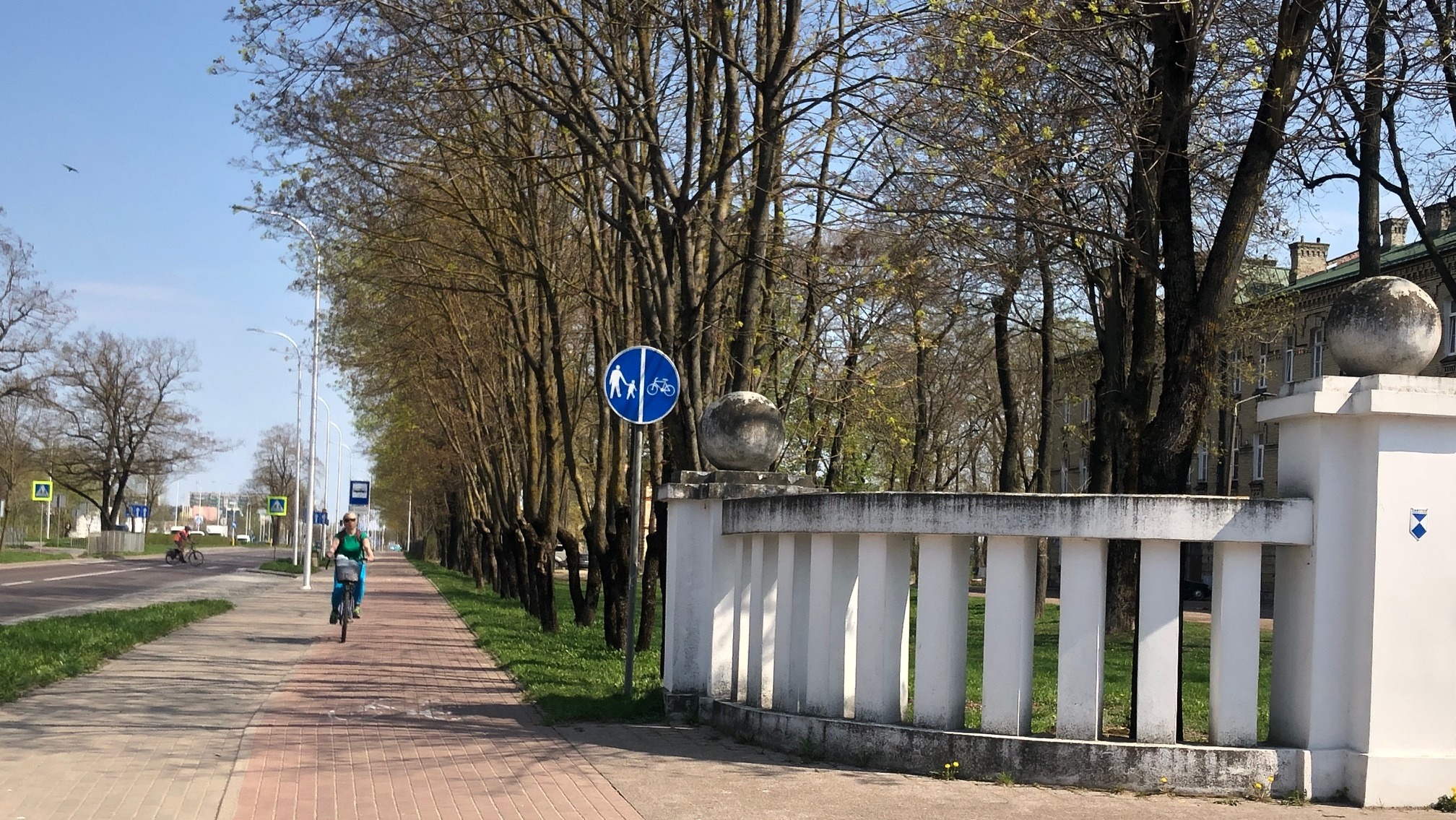 Nie tylko na Szpitalnej jest problem z wronami. Narzekają też suwalczanie z Pułaskiego