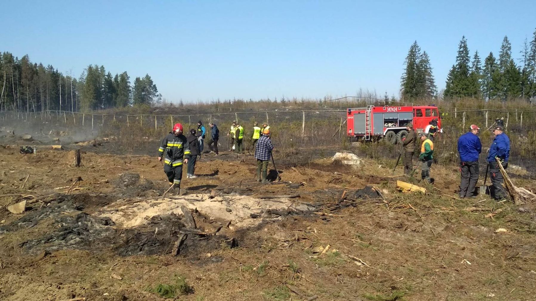Zaprószenie ognia było przyczyną pożaru lasu w Ludwinowie w gminie Raczki