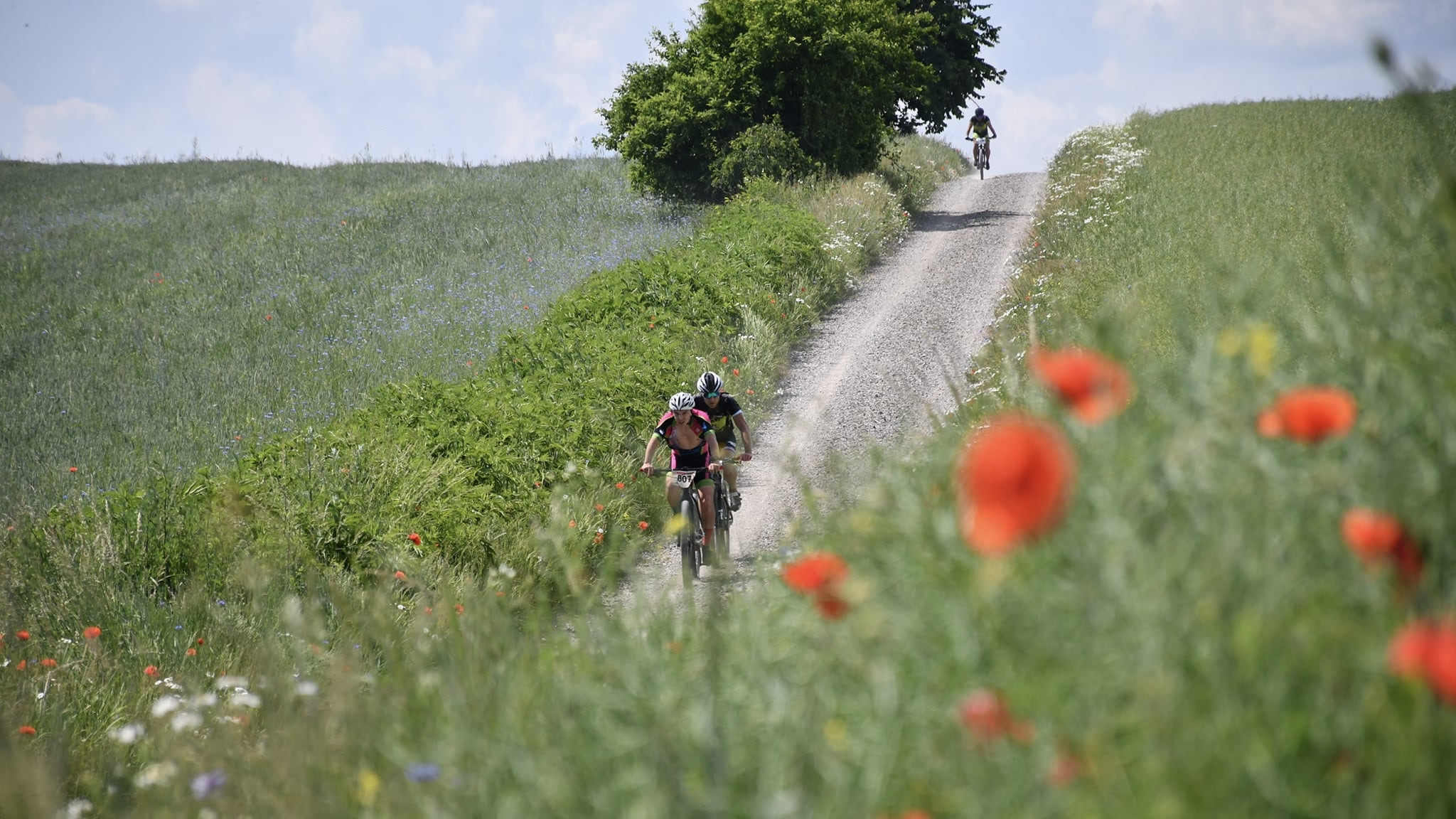 Kolejny udany start suwalczan w Maratonach Kresowych