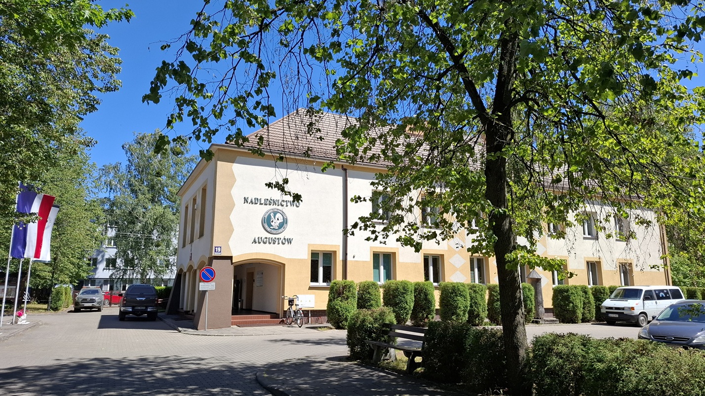 Nowy rezerwat przyrody powstanie w Nadleśnictwie Augustów