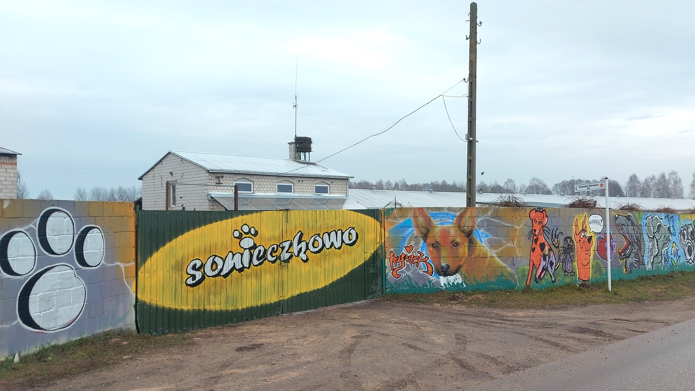 Aż pół tysiąca psów przebywa w podaugustowskim schronisku