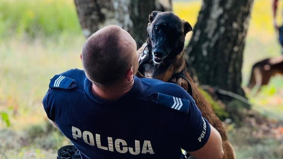 Trawka już niebawem rozpocznie służbę w suwalskiej policji