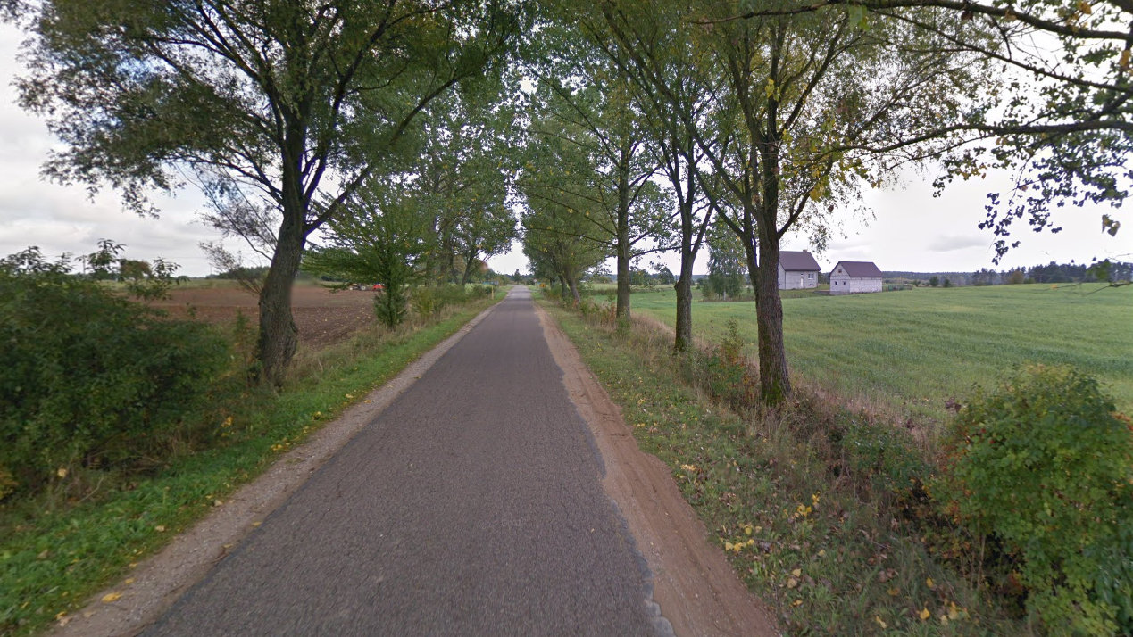 Nie będzie wycinki około 130 drzew rosnących wzdłuż przeznaczonej do przebudowy drogi