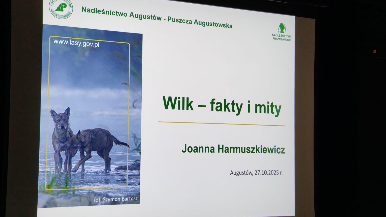 O tym, czy należy bać się wilków i jak reagować gdy je zobaczymy rozmawiano w Augustowie