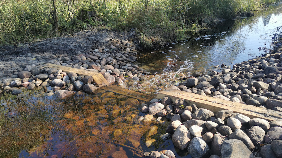 Augustowscy leśnicy zatrzymują wodę w lesie