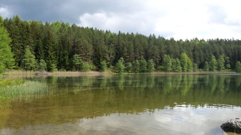 Do domków letniskowych w Puszczy Augustowskiej zjeżdżają turyści z całej Polski