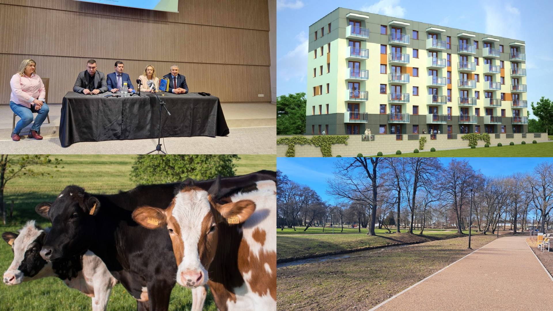 Zdarzyło się w tygodniu - podsumowała Areta Topornicka