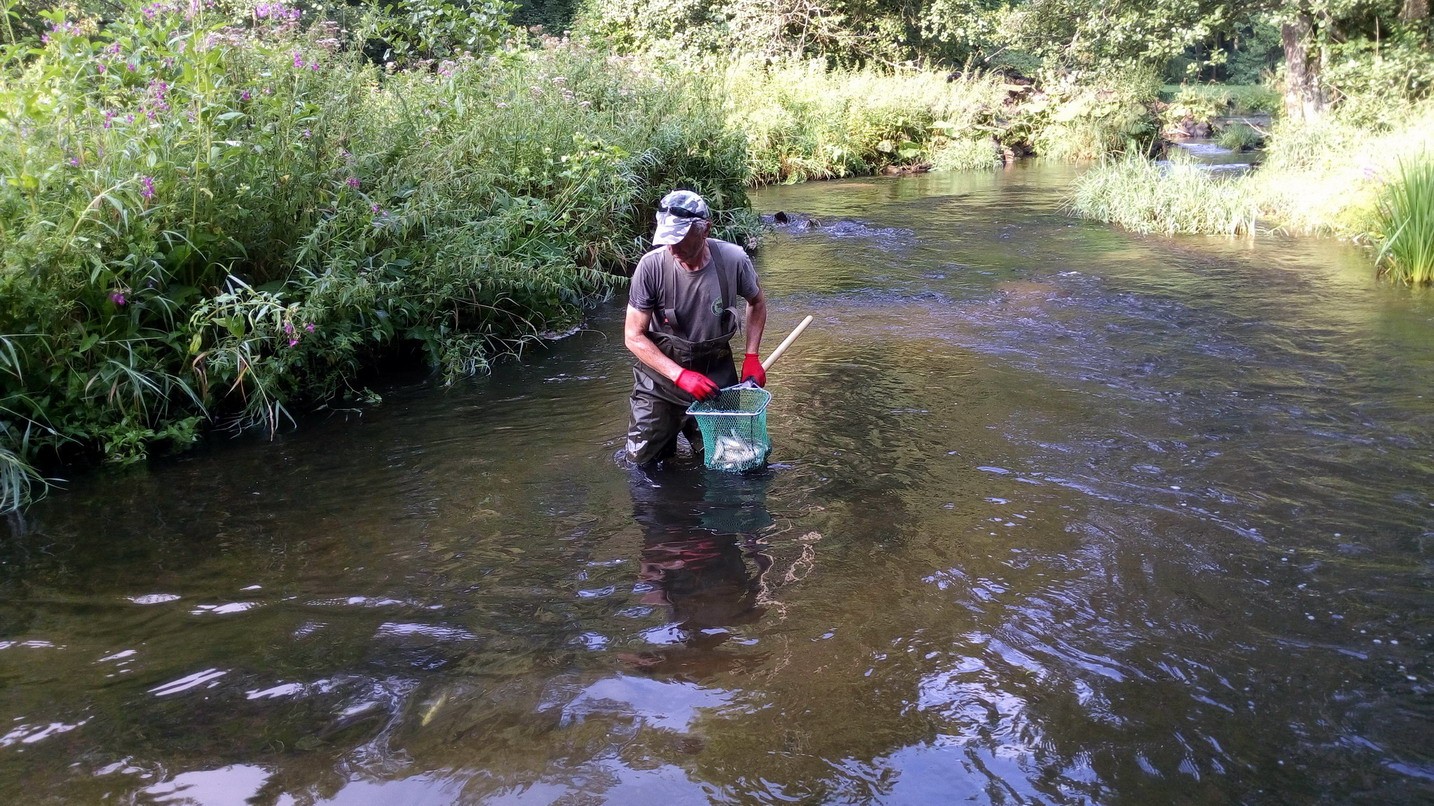 Suwalski PWiK nie dołoży się do tegorocznego zarybiana Wigier